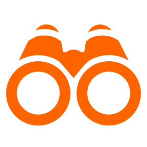 Our Vision